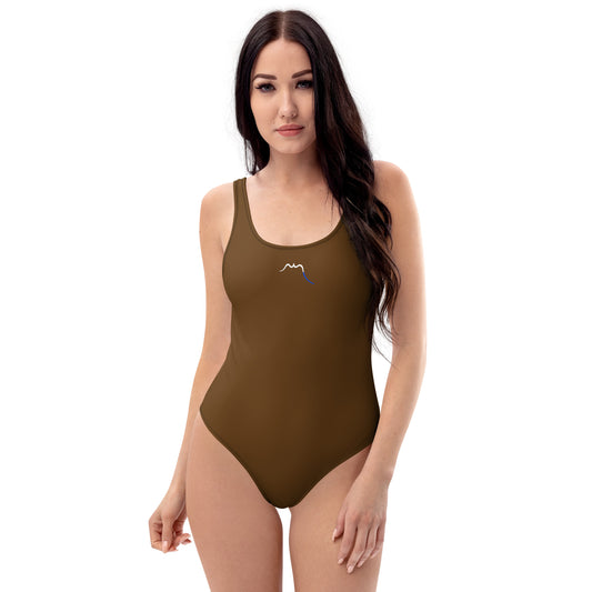 Vue de face du Monokini Milady - coloris marron