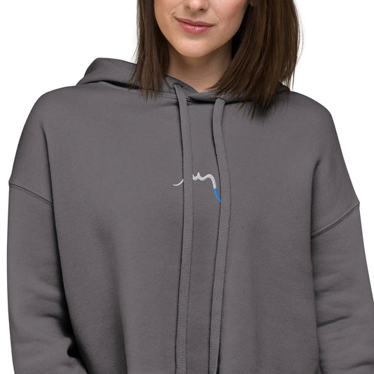 gros plan sur la broderie du crop-top hoodie brodé lesaka coloris gris