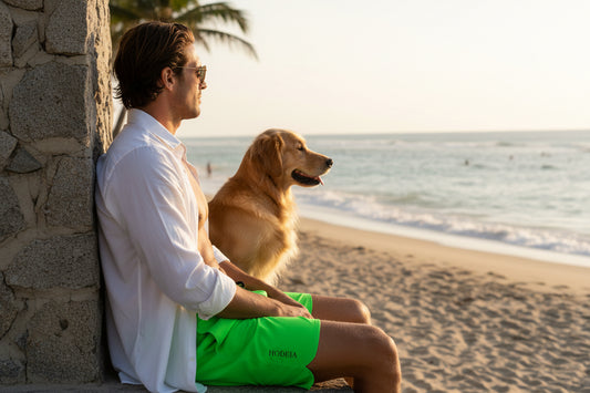 Vue de dos du maillot de surf Indar - coloris vert fluo