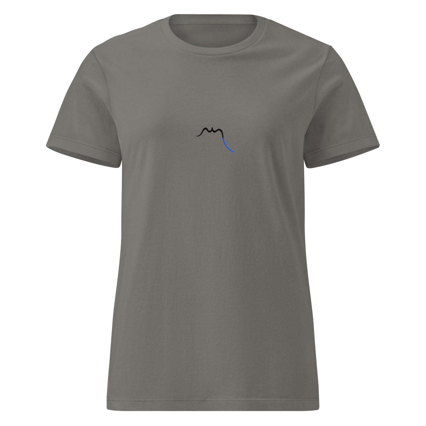Vude de face du T-shirt Cintré Insola - coloris gris