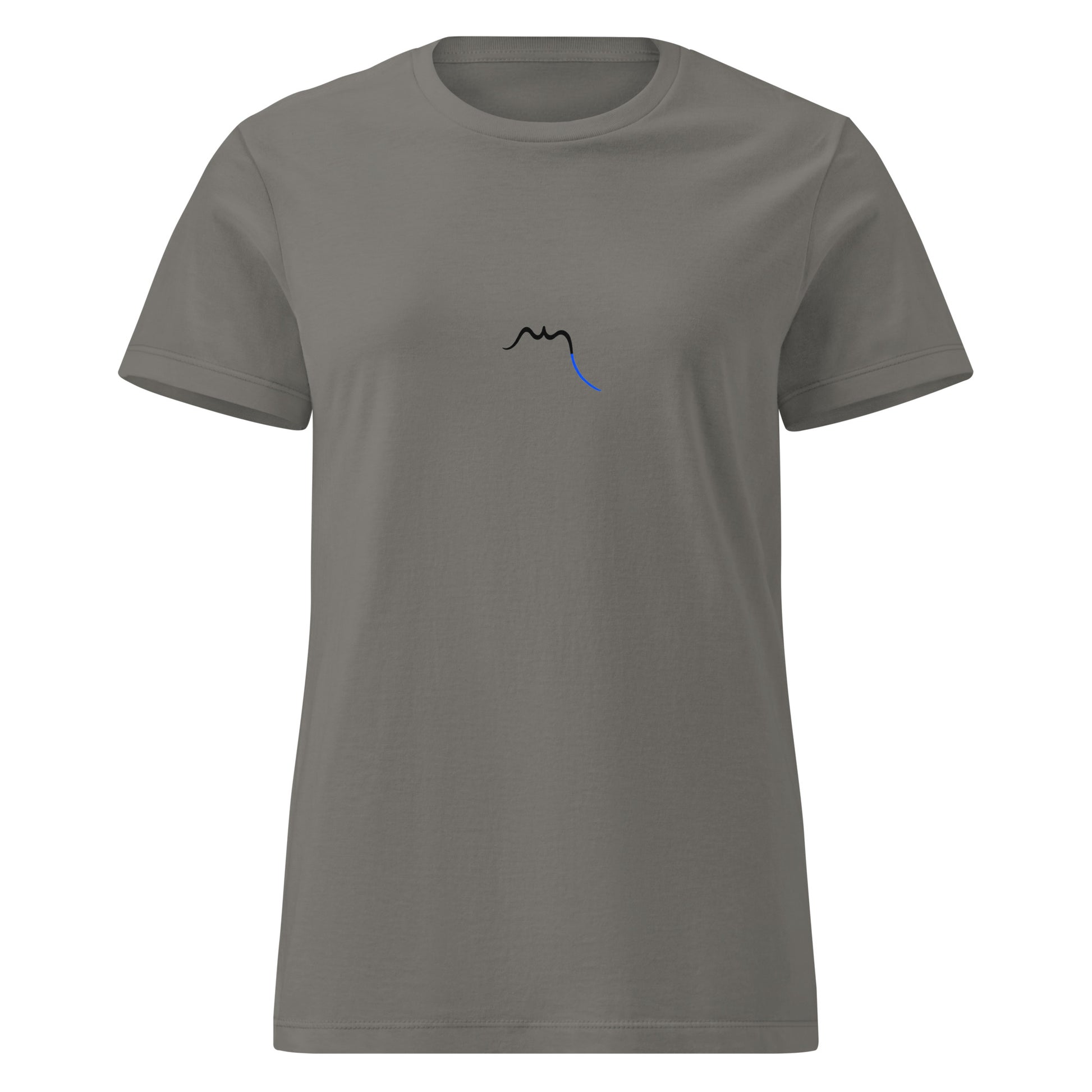 Vude de face du T-shirt Cintré Insola - coloris gris