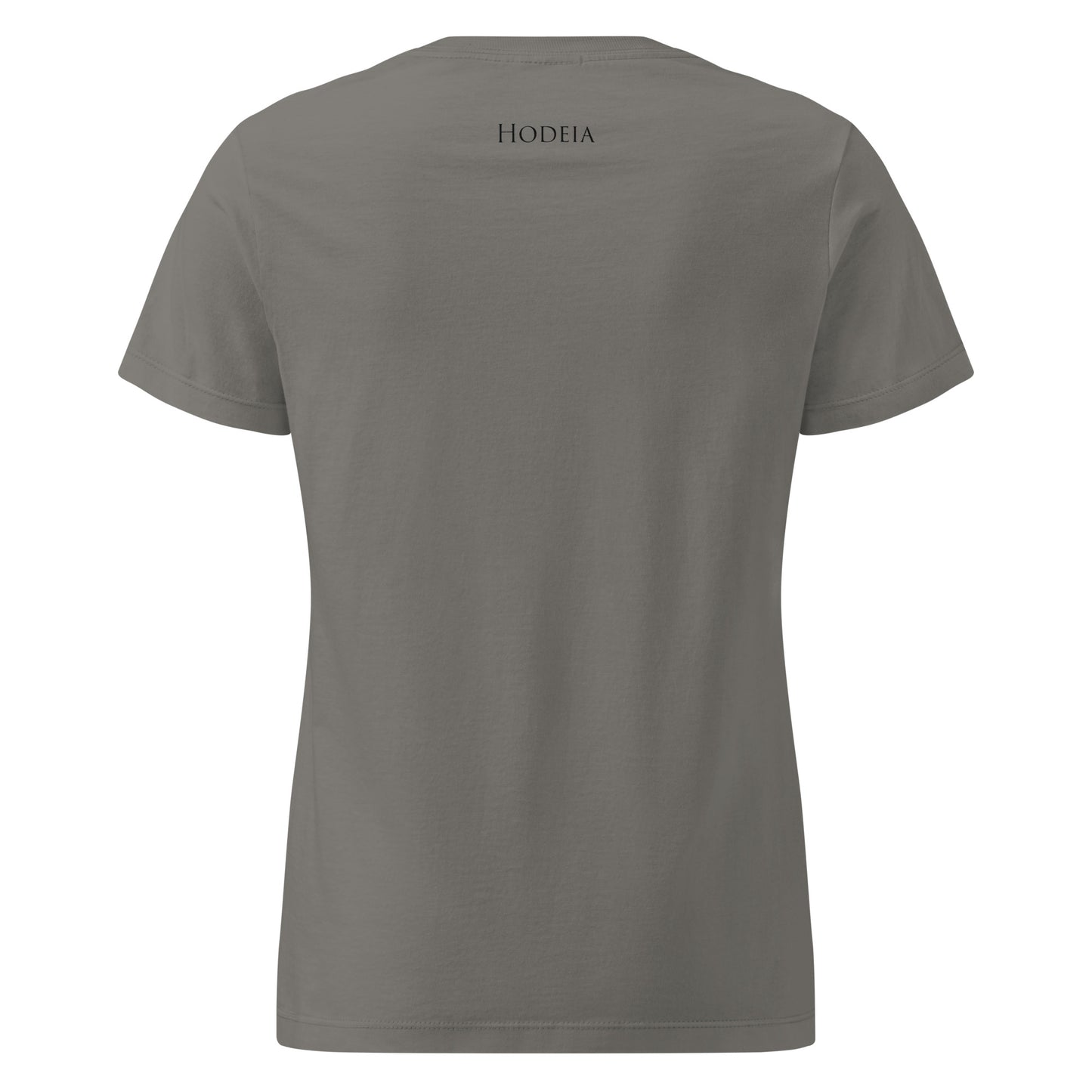 Vue de dos du T-shirt Cintré Insola -coloris gris