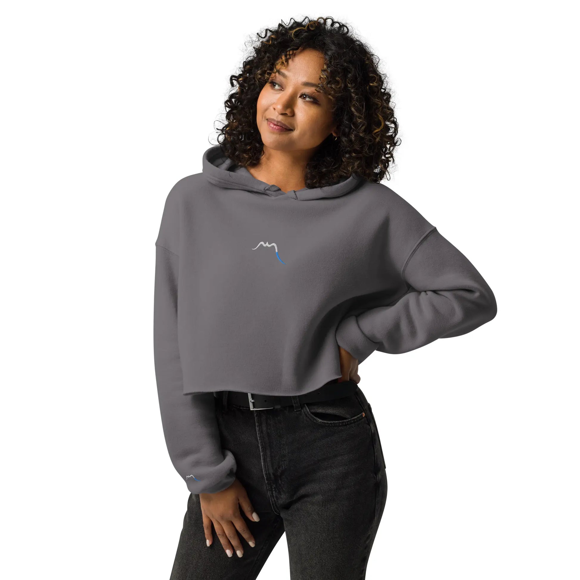 vue de face du crop-top hoodie brodé lesaka coloris gris